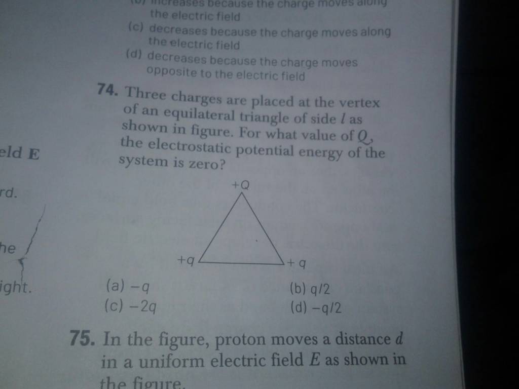 the-electric-field-filo