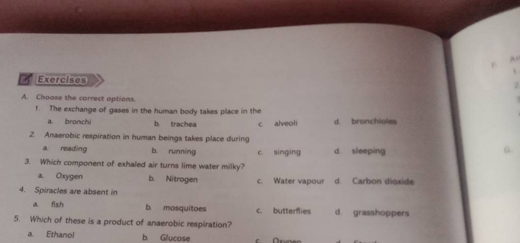 The Exchange Of Gases In The Human Body Takes Place In The A Bronchi..