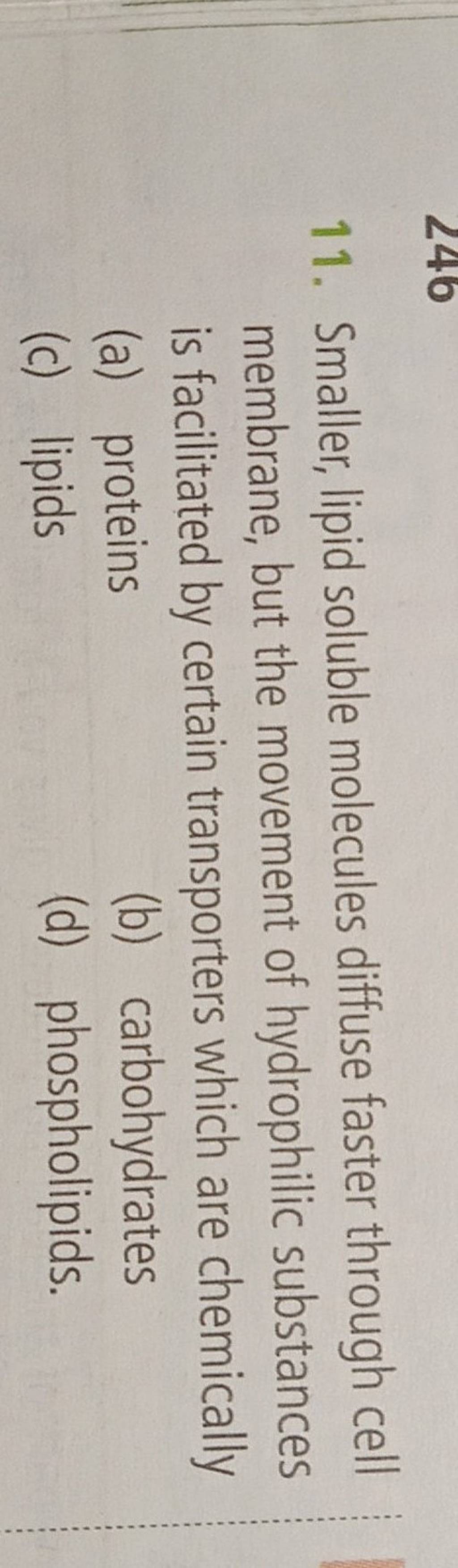 smaller-lipid-soluble-molecules-diffuse-faster-through-cell-membrane-bu