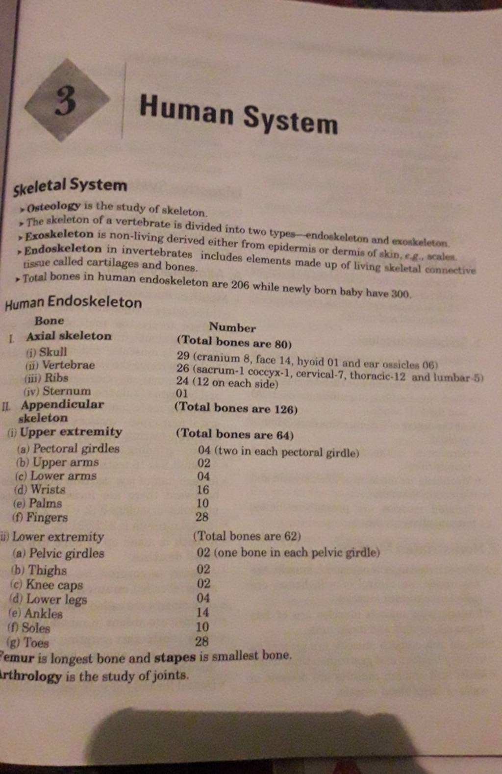 the total bones of the lower extremity