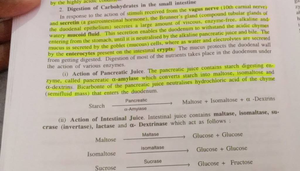 2-digestion-of-carbohydrates-in-the-small-intestine-in-response-to-the-a