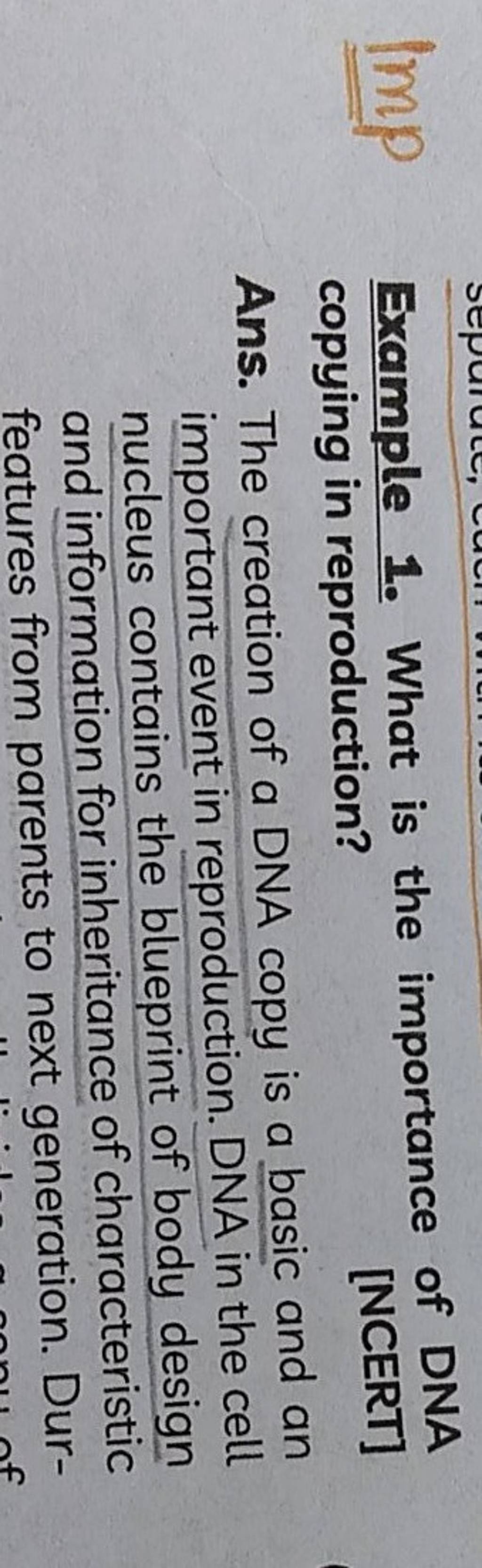 Example 1 what is the importance of dna copying in reproduction ncert 