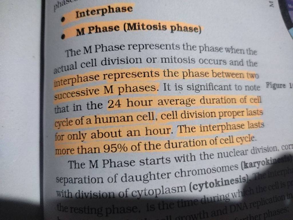 M Phase (Mitosis phase) The M Phase represents the phase w.. Biology Diagrams