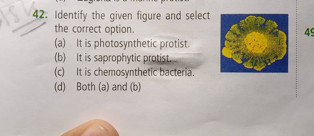 Identify The Given Figure And Select The Correct Option Filo