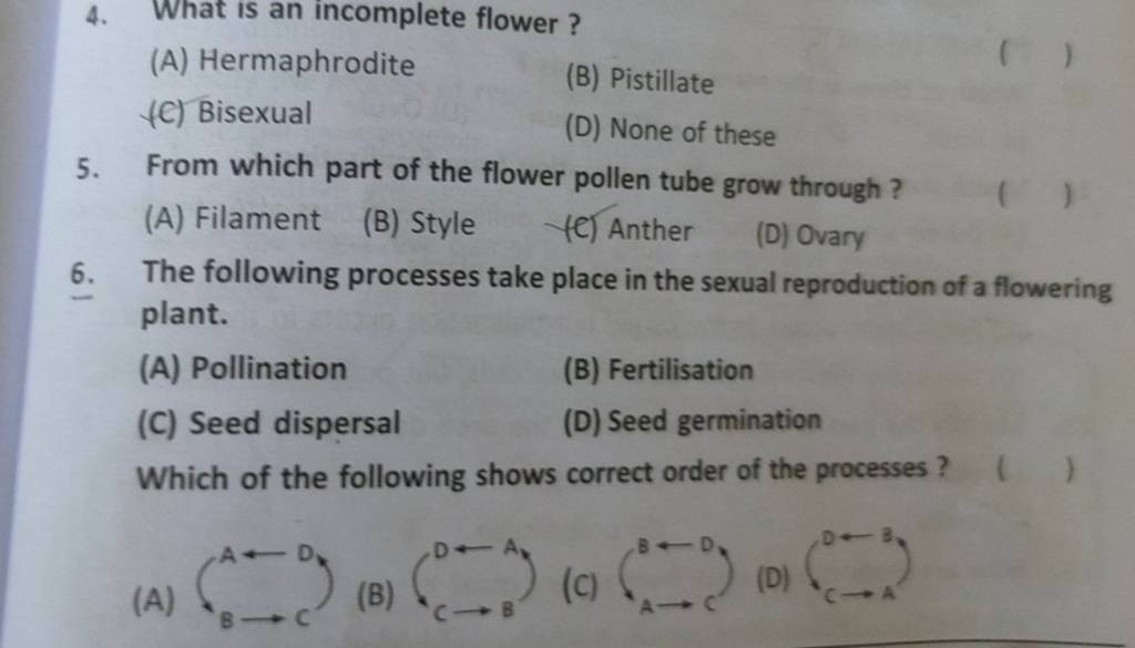 What is an flower ? Filo