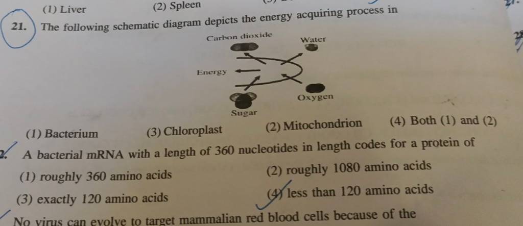 The following schematic diagram depicts the energy acquiring process in..