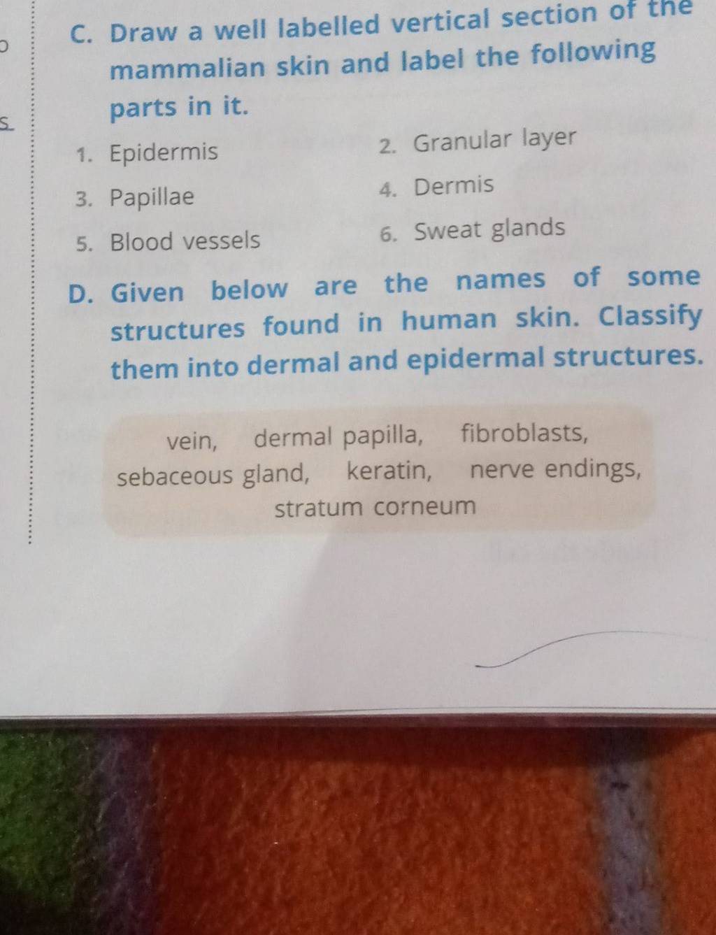 draw-a-well-labelled-vertical-section-of-the-mammalian-skin-and-label-the