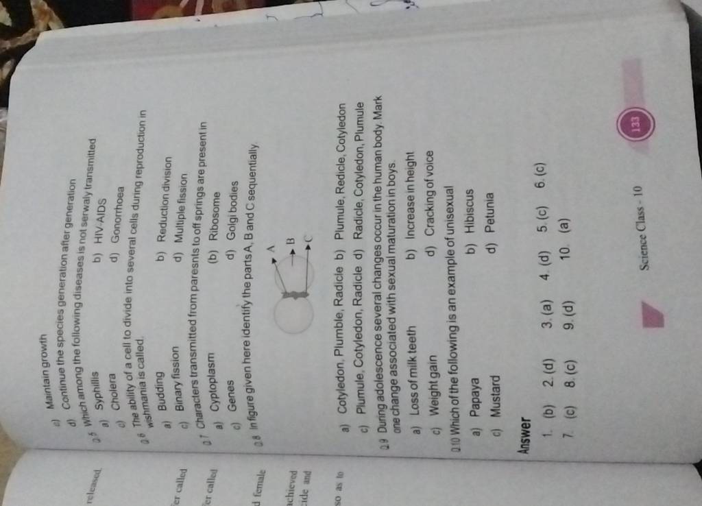 28 In Figure Given Here Identify The Parts Filo