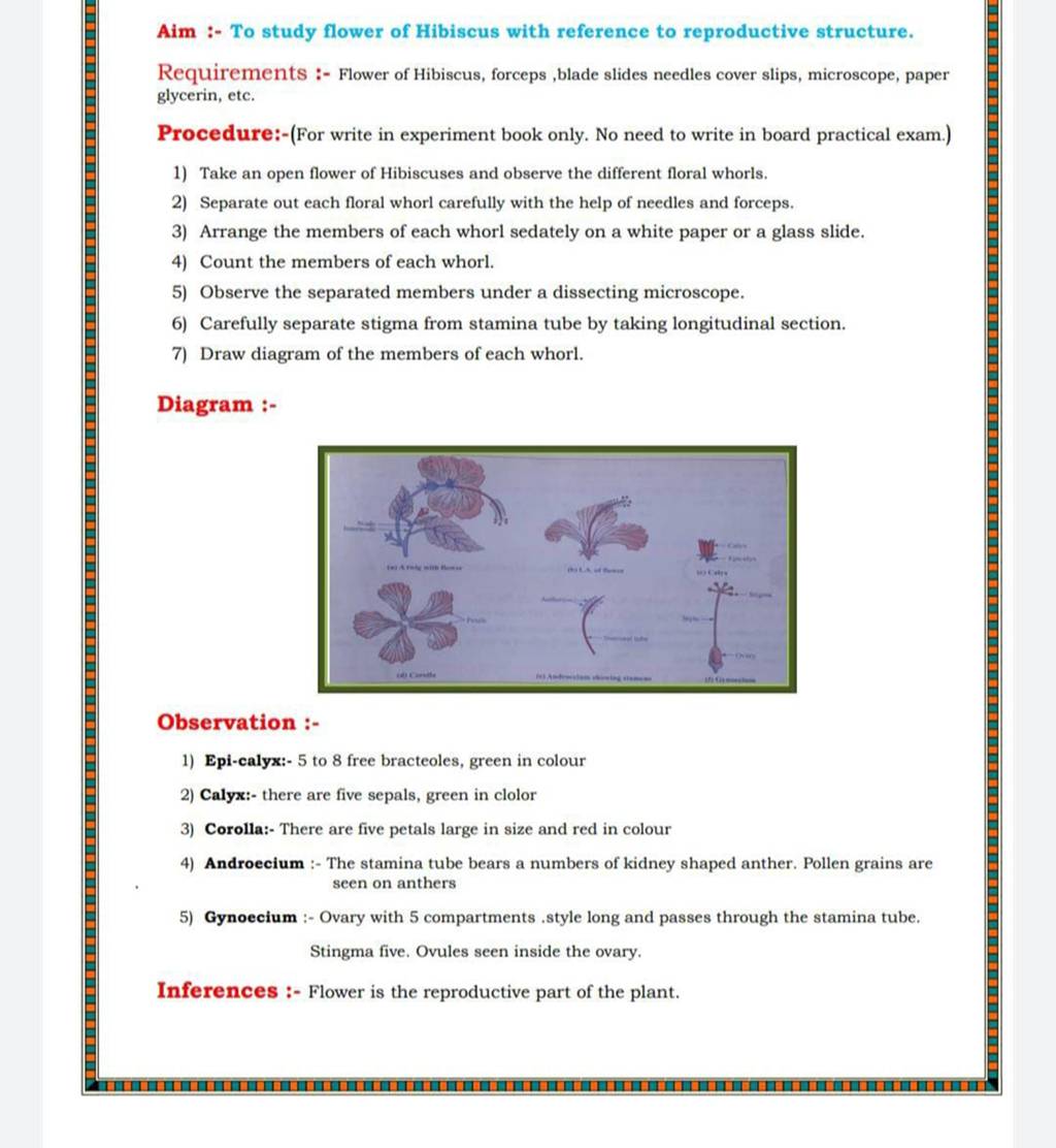 draw-diagram-of-the-members-of-each-whorl-diagram-observation