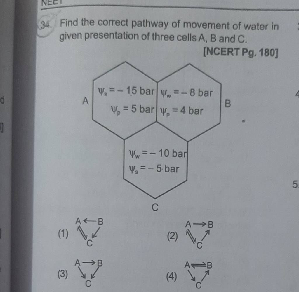 Find The Correct Pathway Of Movement Of Water In Given Presentation Of Th..