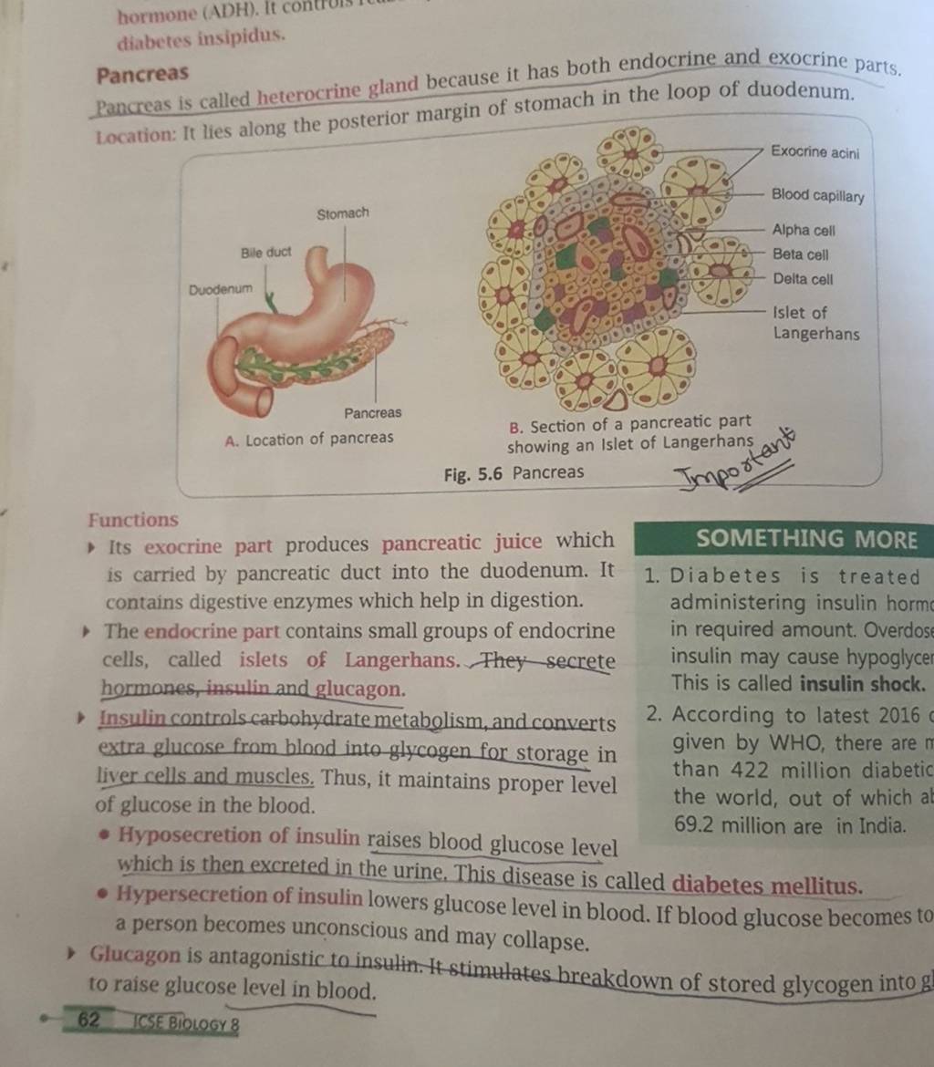 Diabetes Insipidus Pancreas Pancreas Is Called Heterocrine Gland Because 5509