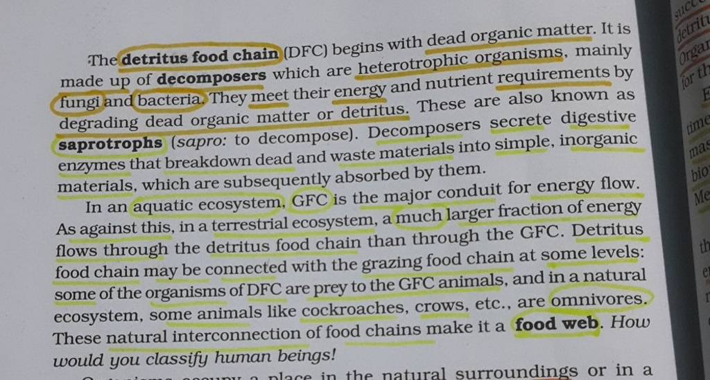 food-chain-definition-types-examples-and-diagram