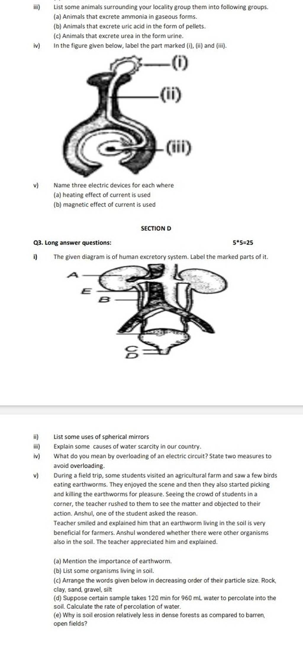 In the figure given below, label the part marked (i), (ii) and (iii). v)..