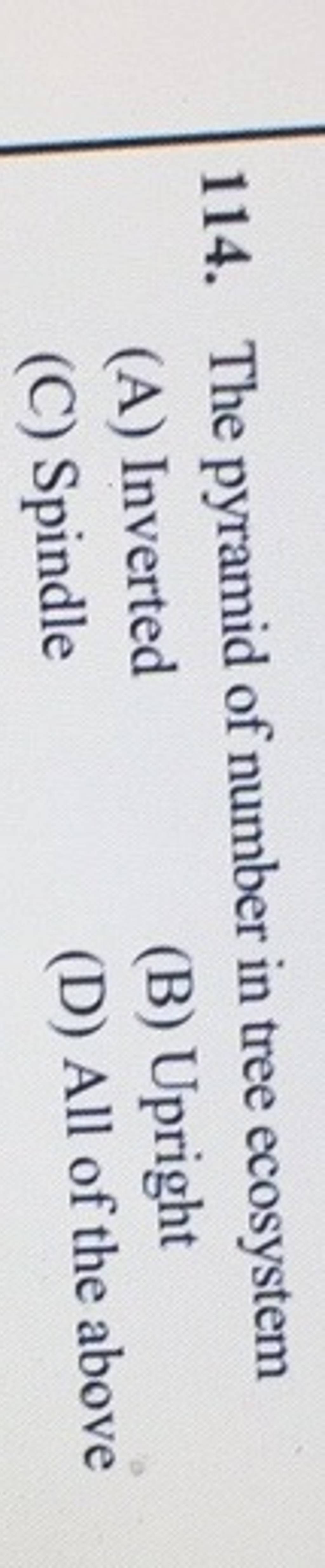 The pyramid of number in tree ecosystem Filo