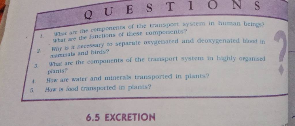 1-what-are-the-components-of-the-transport-system-in-human-beings-what