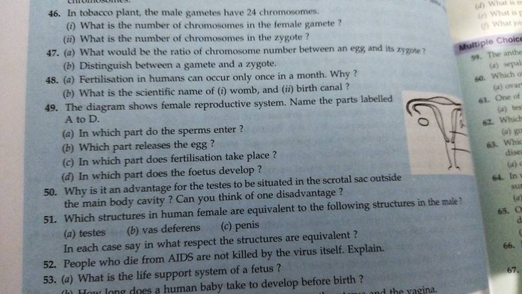 In Tobacco Plant The Male Gametes Have 24 Chromosomes I What Is The N   1648041370016 Xbvzsxmu 1533553 