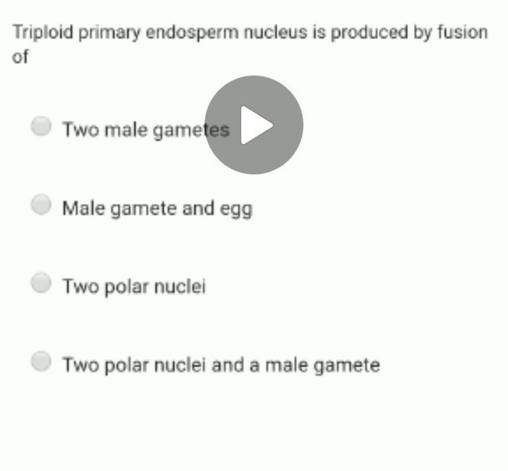 Triploid primary endosperm nucleus is produced by fusion of Filo