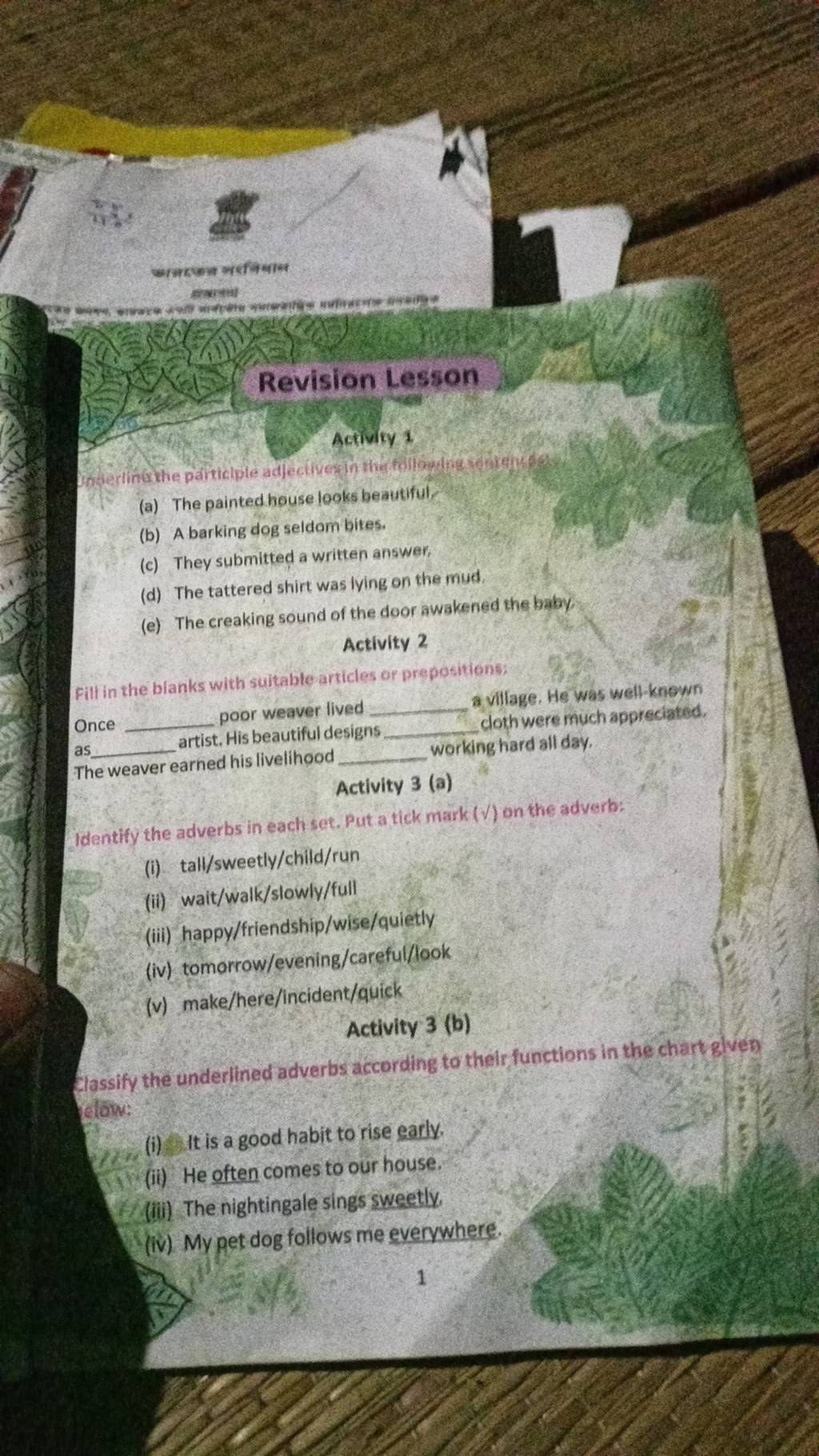 Revision Lesson Activity 1 (a) The painted house looks beautiful? (b) A b..