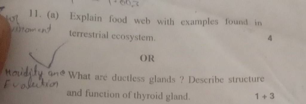 11. (a) Explain food web with examples found in viroment terrestrial ecos.. Biology Diagrams