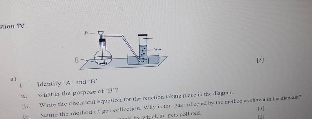 1. Identify ' A ' And ' B ' | Filo