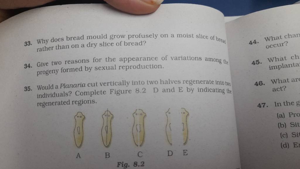 Why does the bread mold grow profusely on a moist slice of bread rather  than on a dry slice of bread?