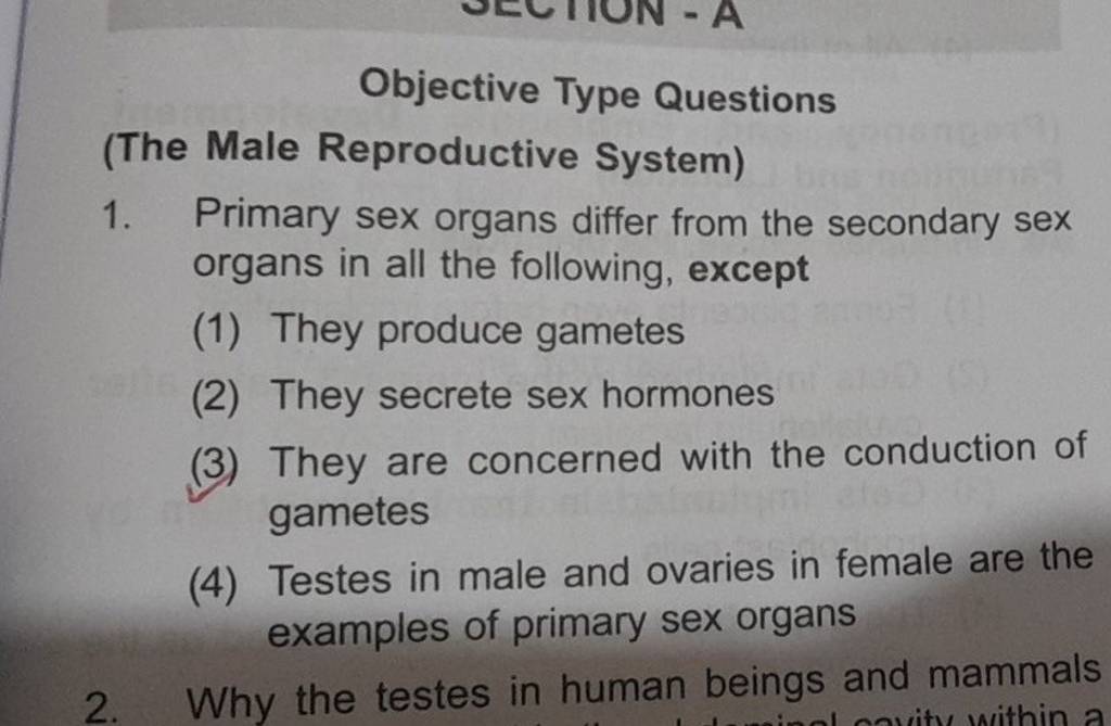 Objective Type Questions The Male Reproductive System 1 Primary Sex Or