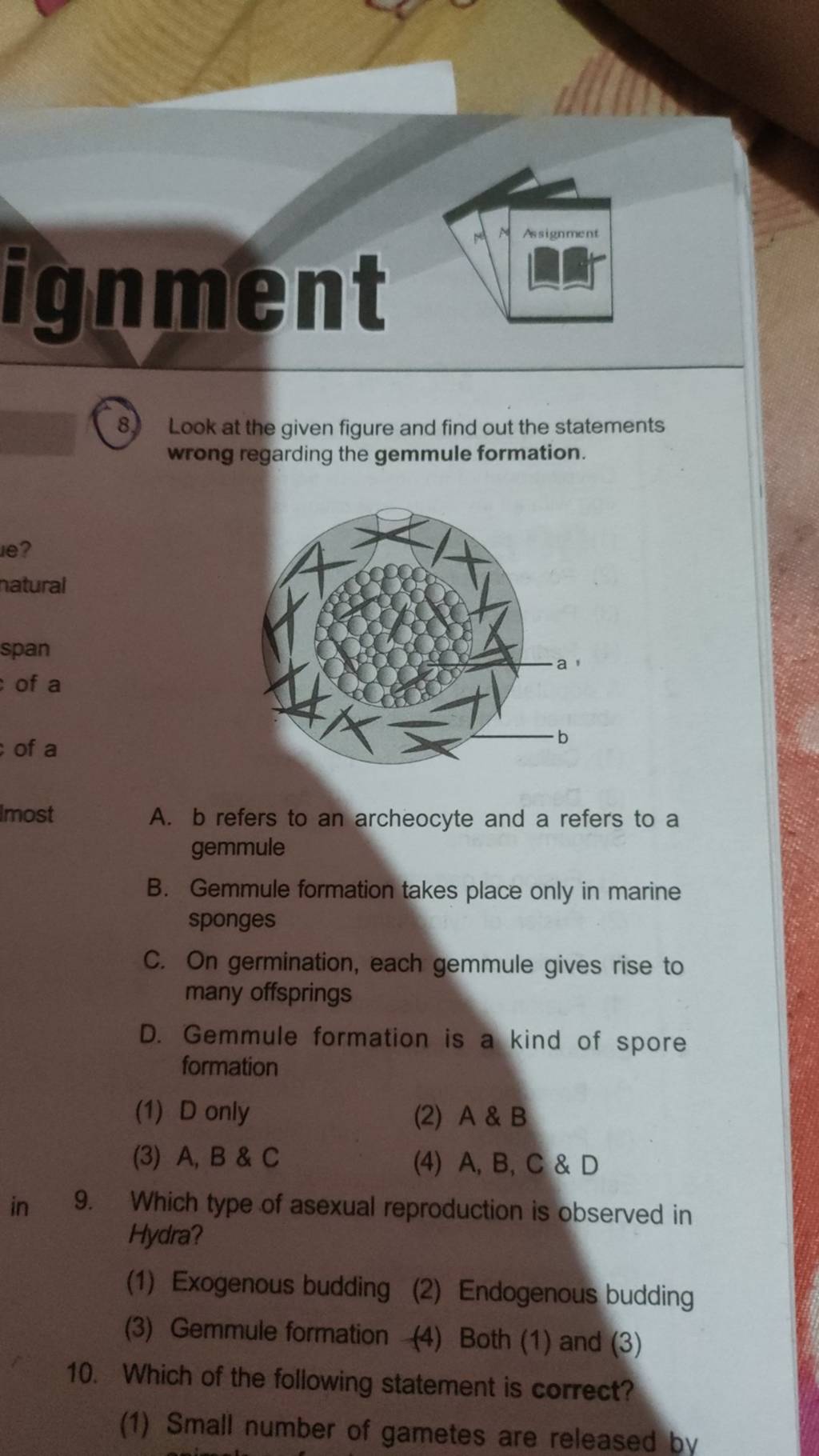 Which type of asexual reproduction is observed in Hydra? Filo