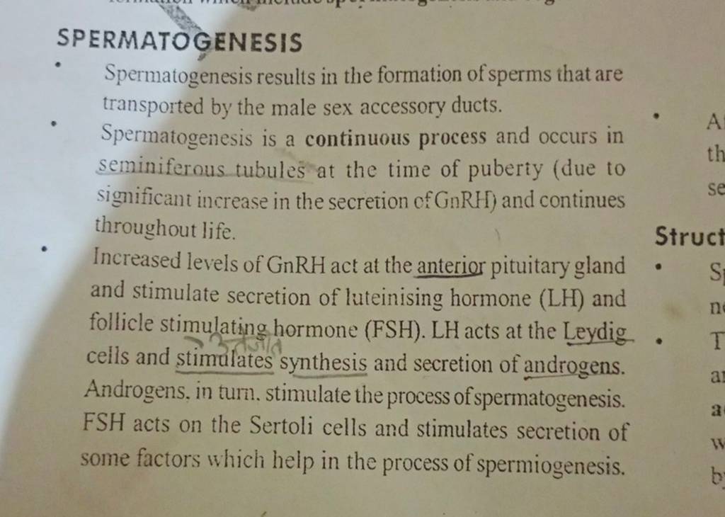 SPERMATOGENESIS
Spermatogenesis results in the formation of sperms tha
