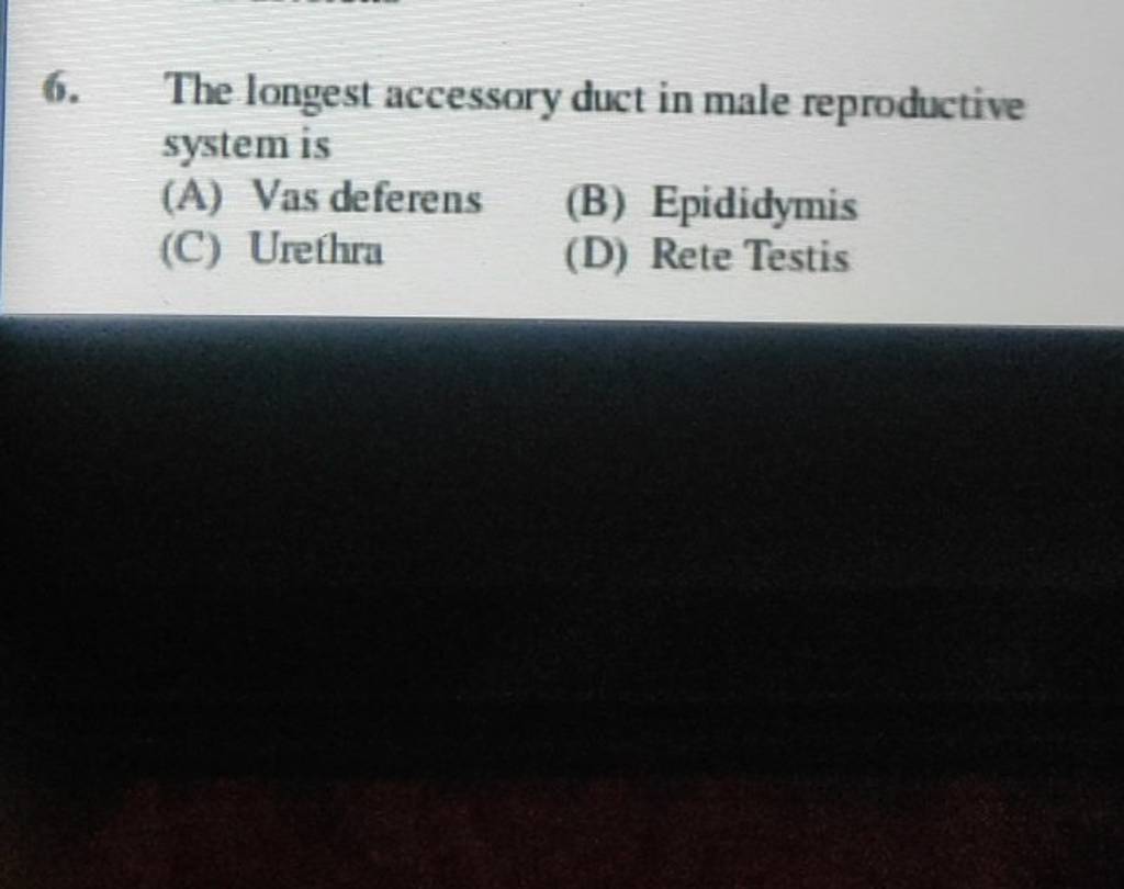 The longest accessory duct in male reproductive system is Filo