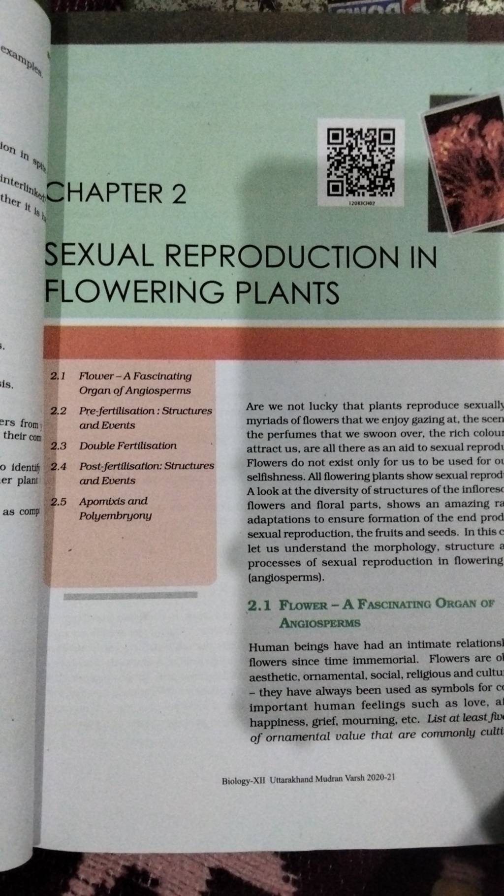 Sexual Reproduction In Flowering Plants 21 Flower A Fascinating Organ Of 7872