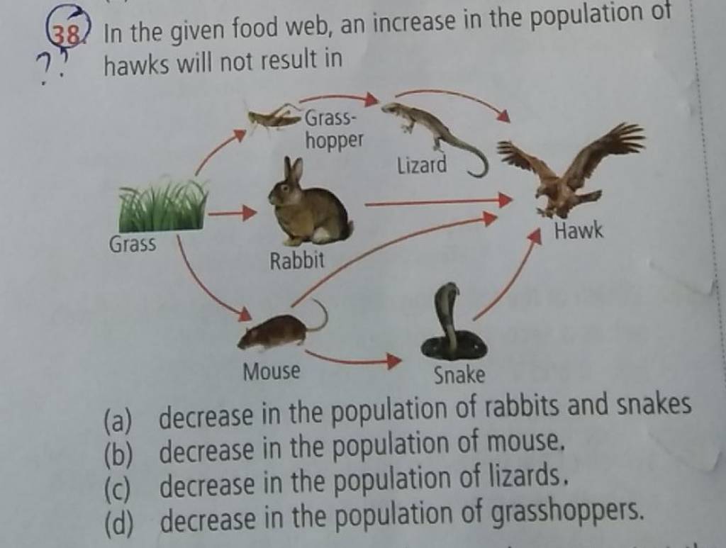 In the given food web, an increase in the population of hawks will not re.. Biology Diagrams