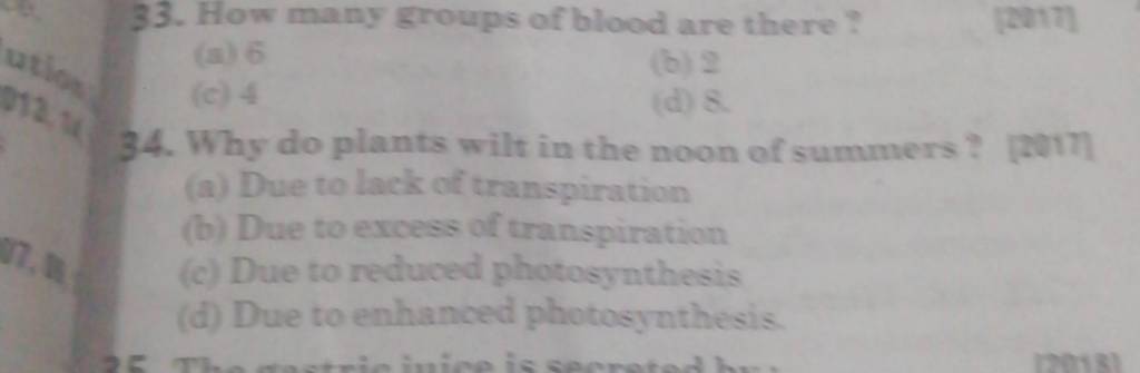 How Many Groups Of Blood Are There Filo how-many-groups-of-blood-are-there-filo