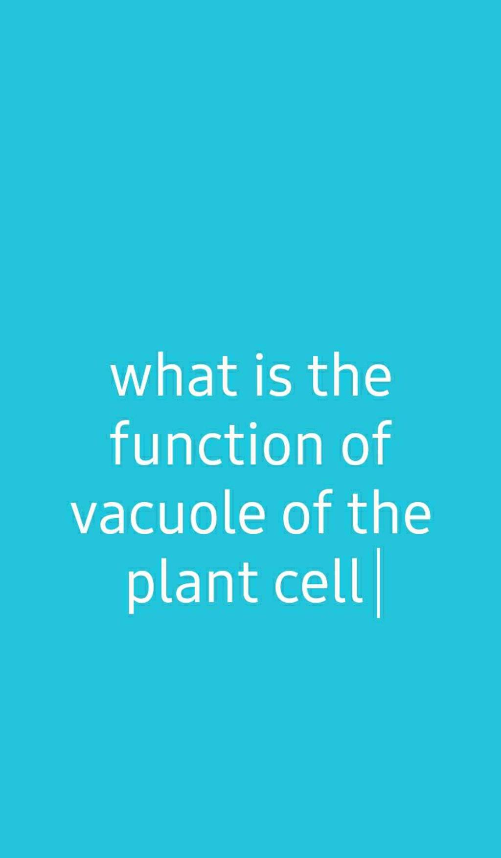 what is the function of vacuole of the plant cell Filo