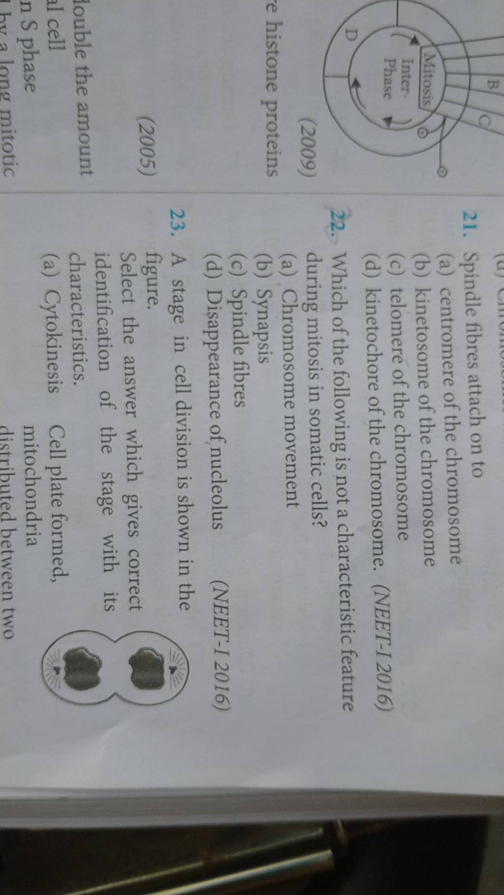 A Stage In Cell Division Is Shown In The Figure Select The Answer Which a-stage-in-cell-division-is-shown-in-the-figure-select-the-answer-which