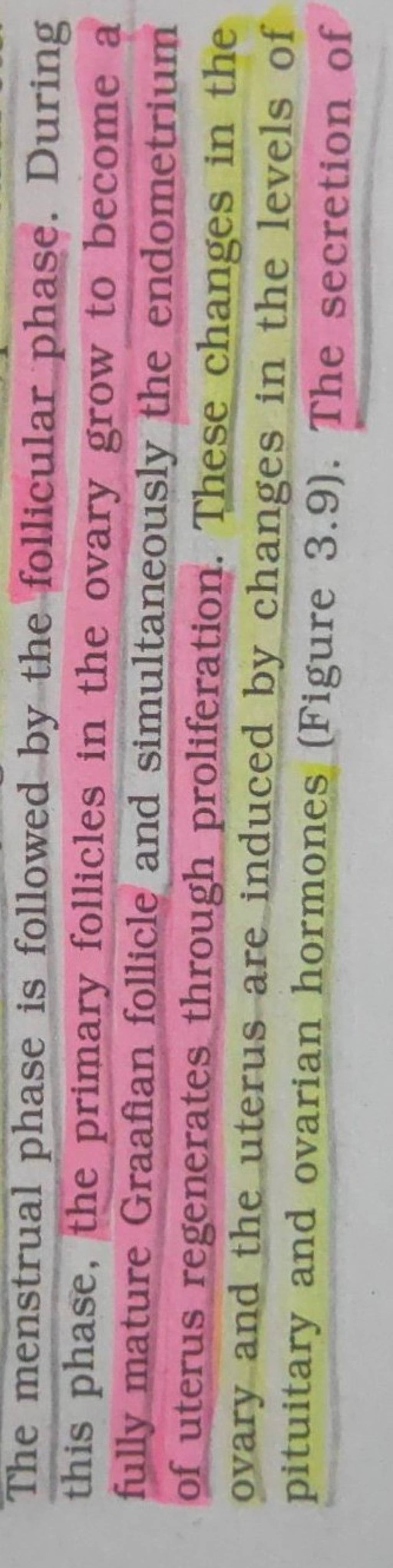 the-menstrual-phase-is-followed-by-the-follicular-phase-during-this-phas