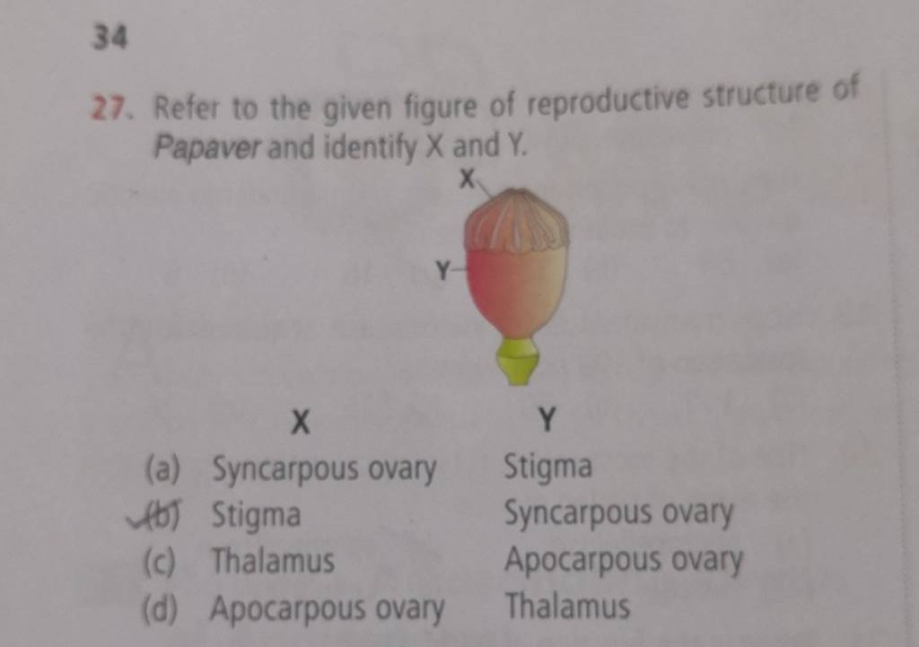 34 27 Refer To The Given Figure Of Reproductive Structure Of Papaver And