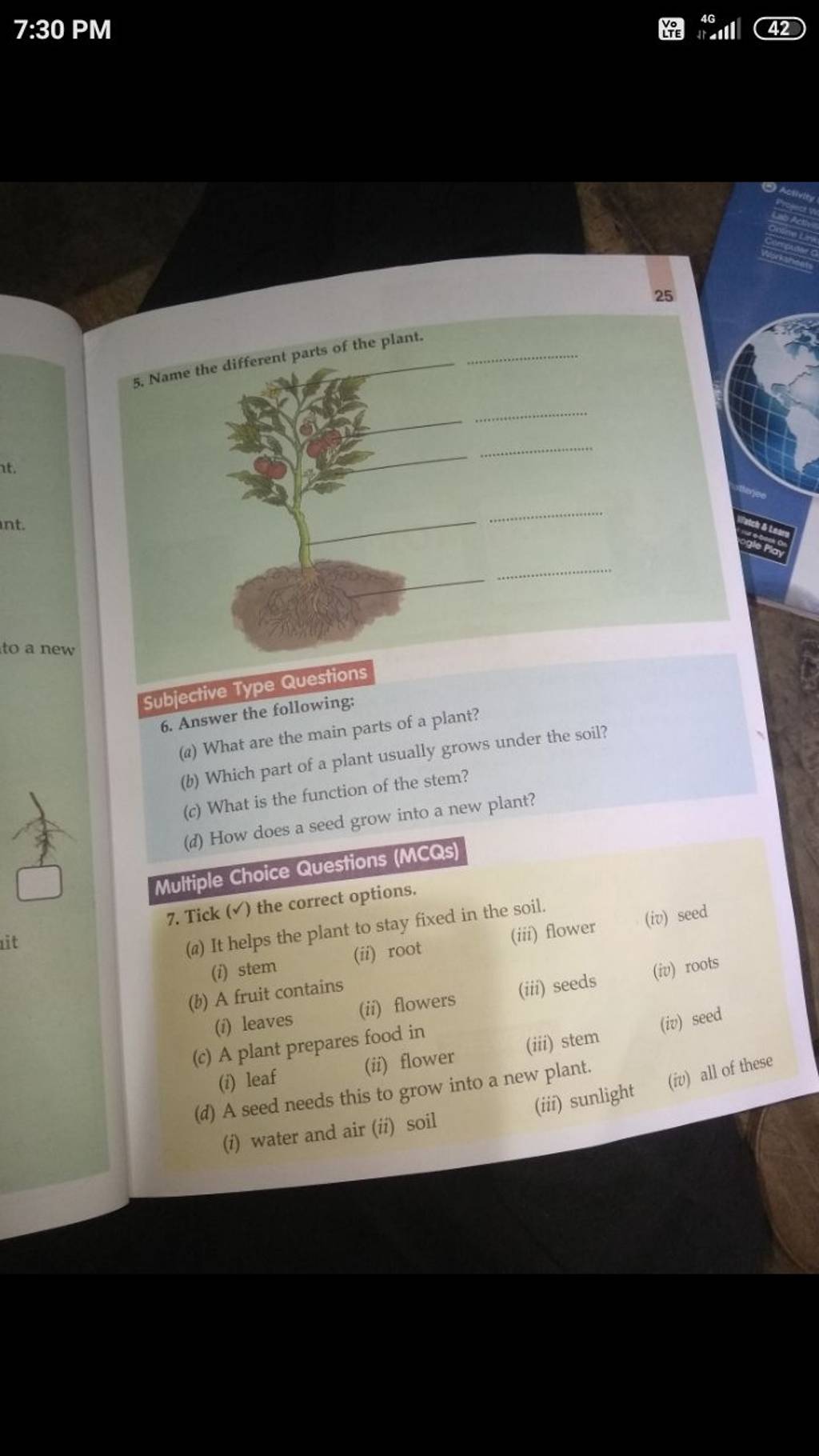Name the different parts of the plant. Subjective Type Questions Answer t..