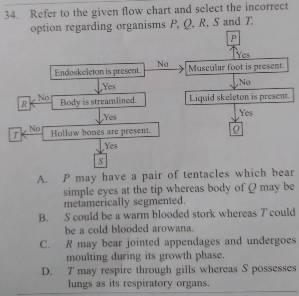 Refer To The Given Flow Chart And Select The Incorrect Option Regarding O