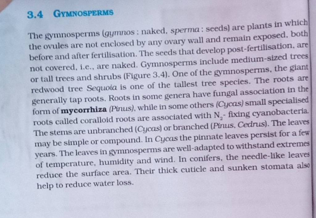 Gymnosperms The Gymnosperms Gymnos Naked Sperma Seeds Are Plant