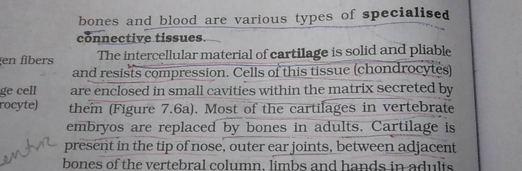 bones and blood are various types of specialised connective tissues.
T