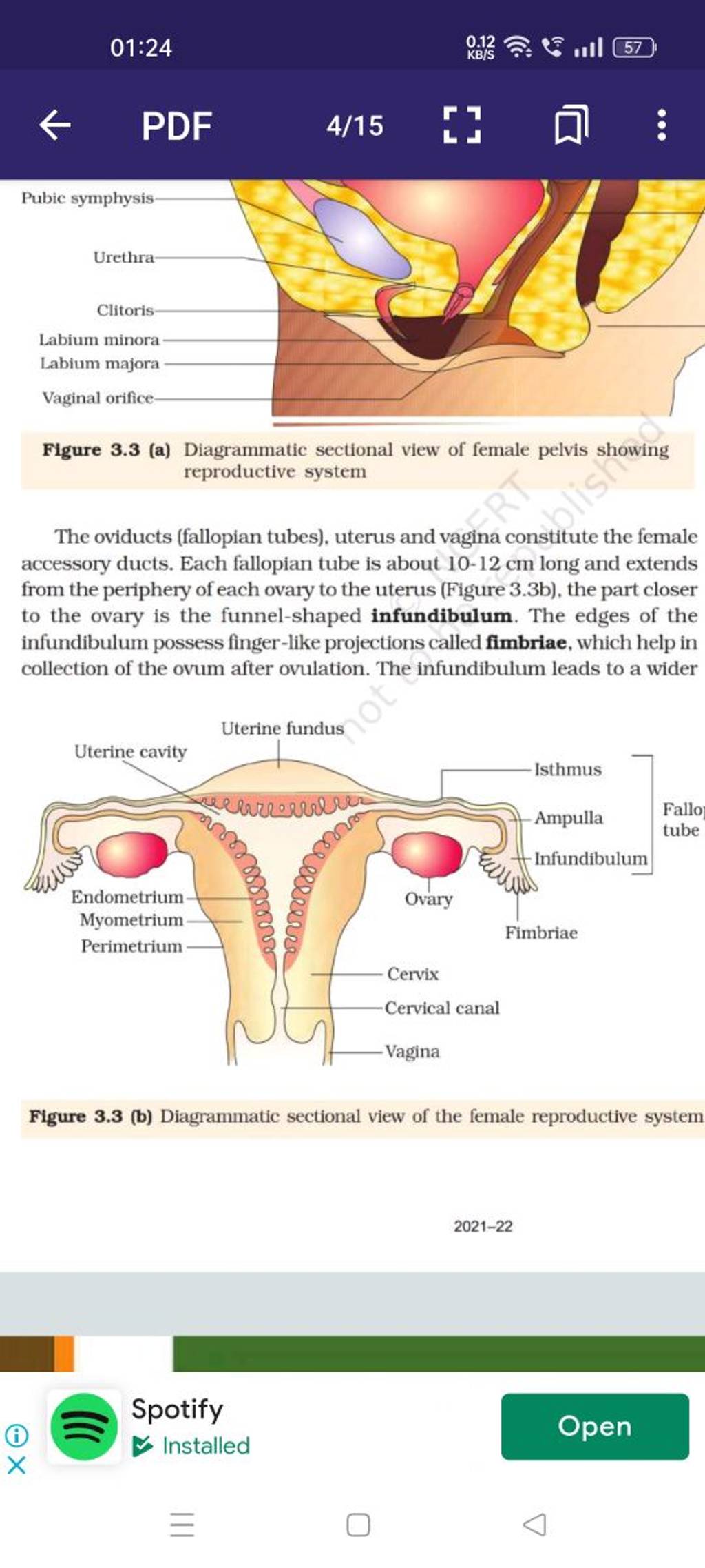 3.4 mindtap assignment the female reproductive system exercise ii