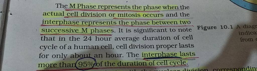 The M Phase represents the phase when the actual cell division or mitosis.. Biology Diagrams