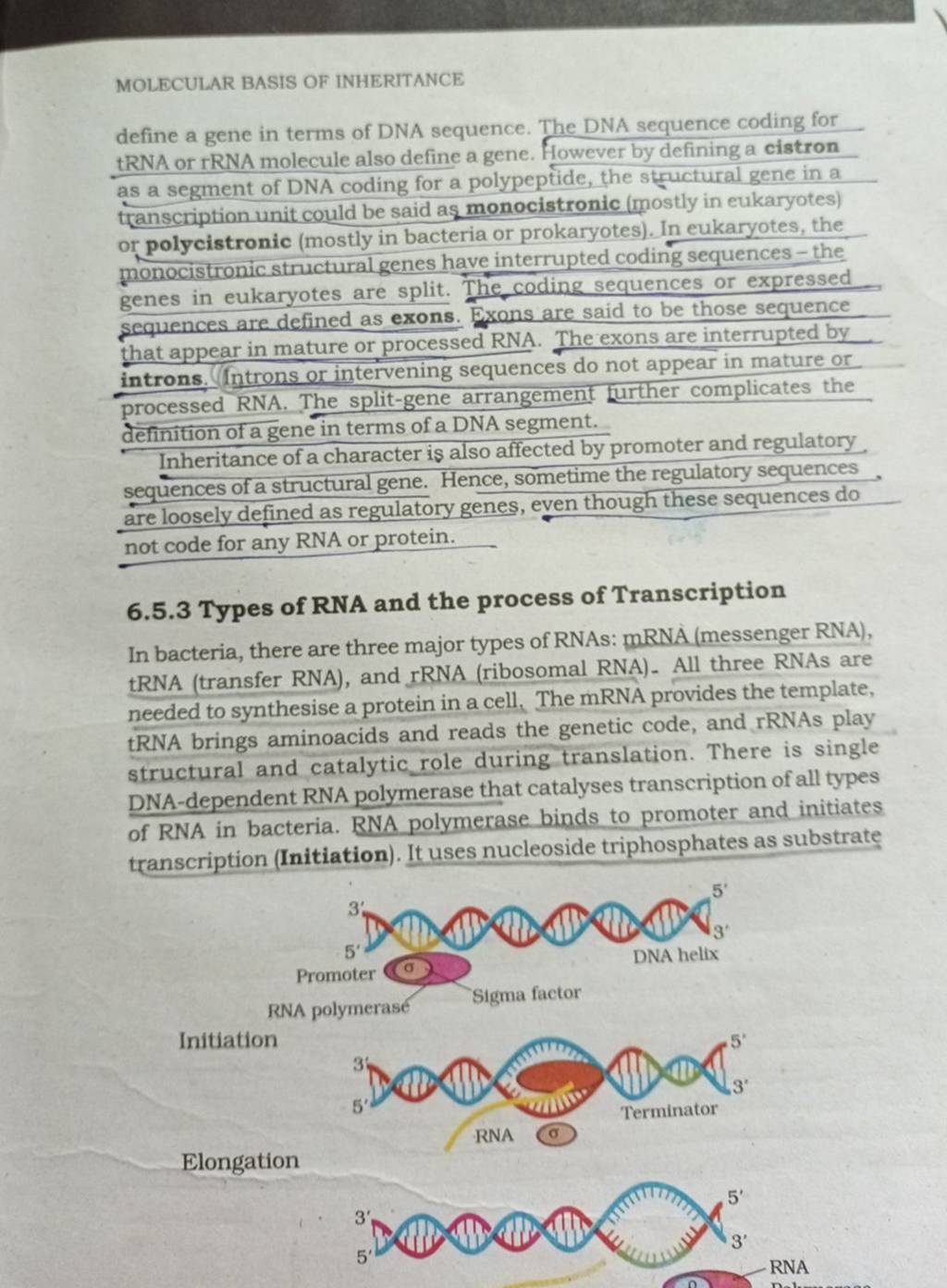 MOLECULAR BASIS OF INHERITANCE define a gene in terms of DNA sequence. Th..