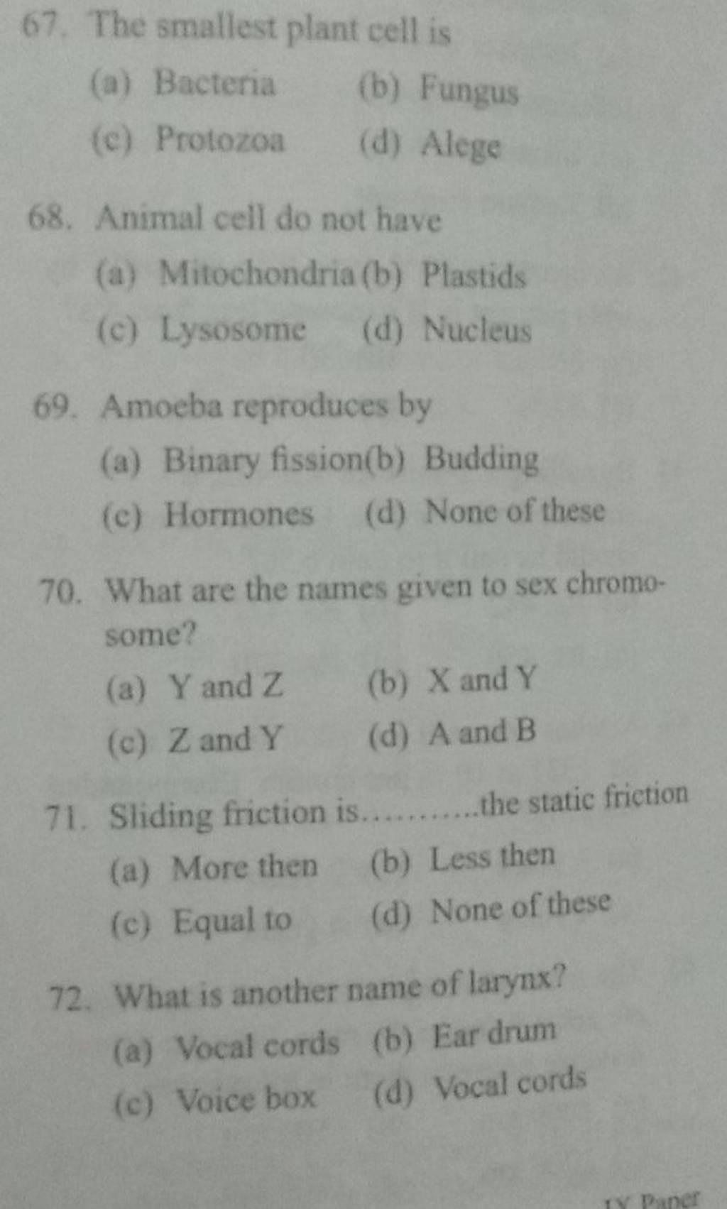 what-is-another-name-of-larynx-filo