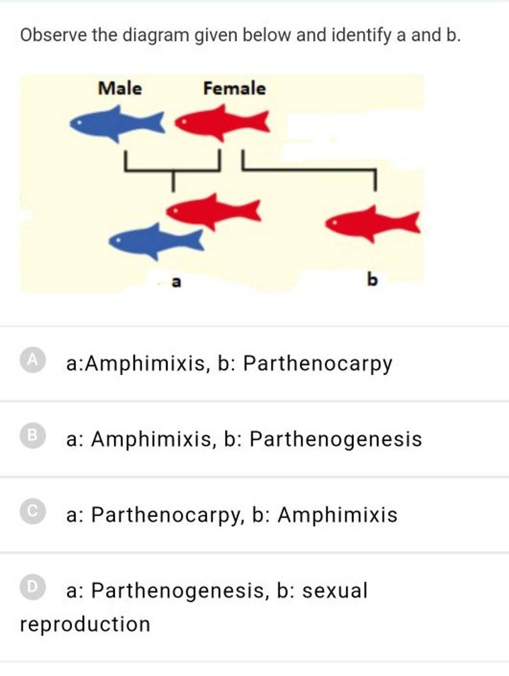 Observe The Diagram Given Below And Identify A And B. | Filo