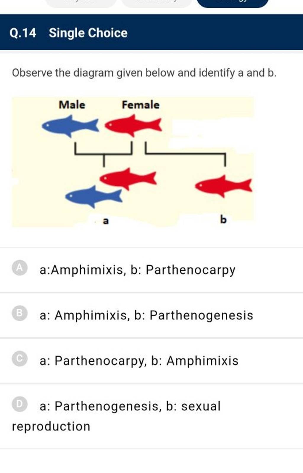 Q.14 Single Choice Observe The Diagram Given Below And Identify A And B...