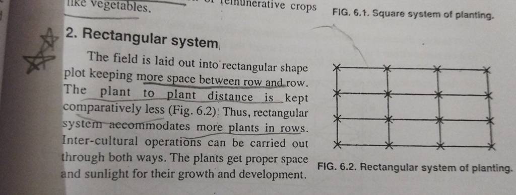 fig-6-1-square-system-of-planting-2-rectangular-system-the-field-is-l