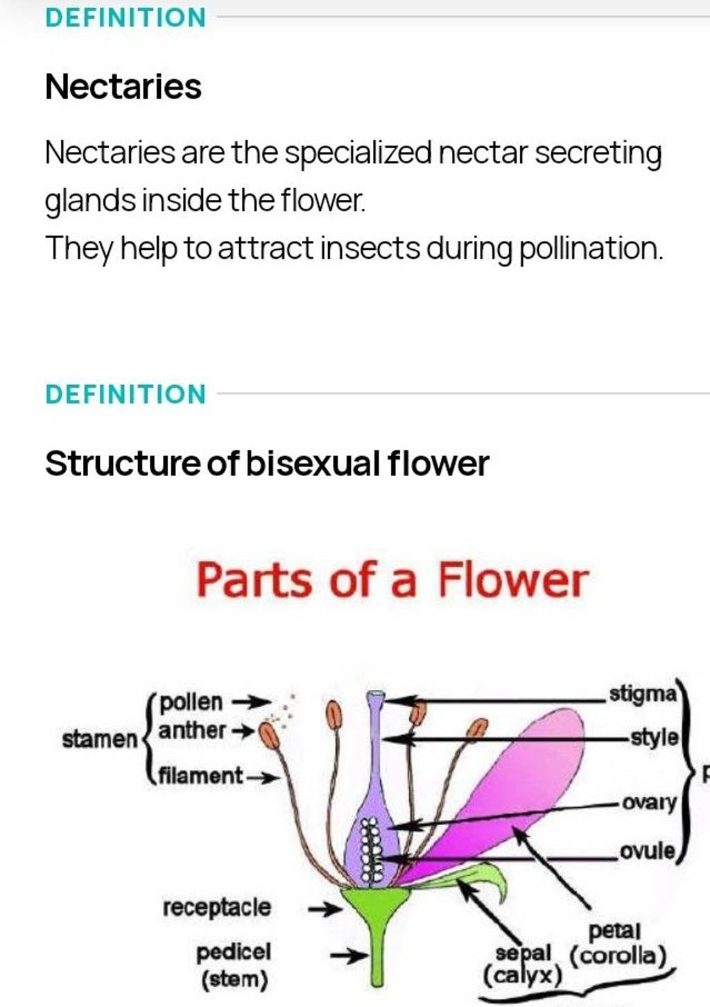 DEFINITION Nectaries Nectaries are the specialized nectar secreting gland..
