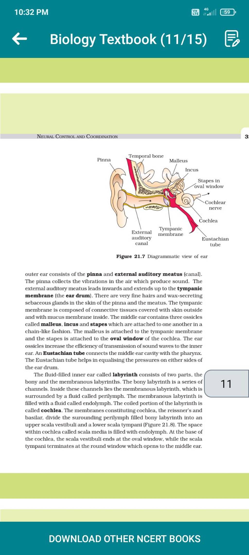 10-32-pm-biology-textbook-11-15-neural-control-and-coordination-3-fig