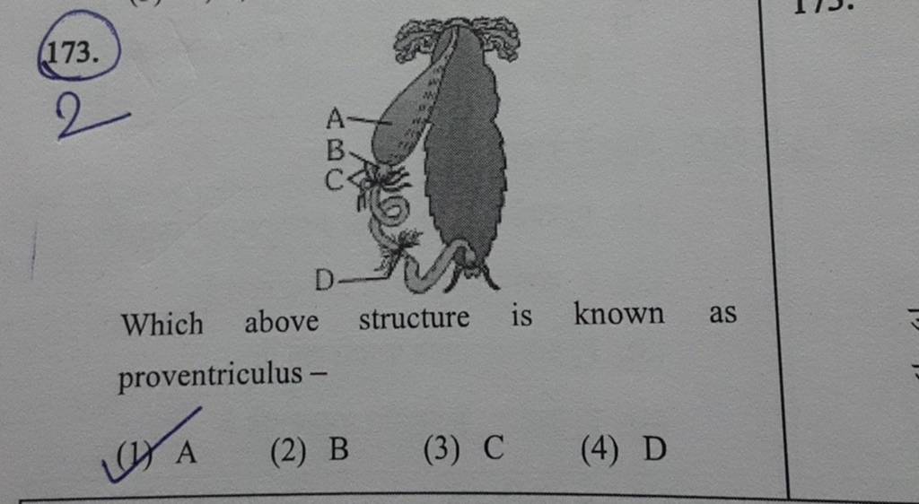 173-2-which-above-structure-is-known-as-proventriculus-filo